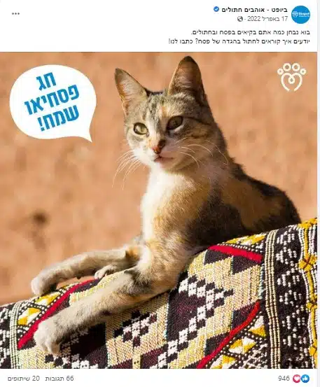 צילום מסך 2023-01-25 163549