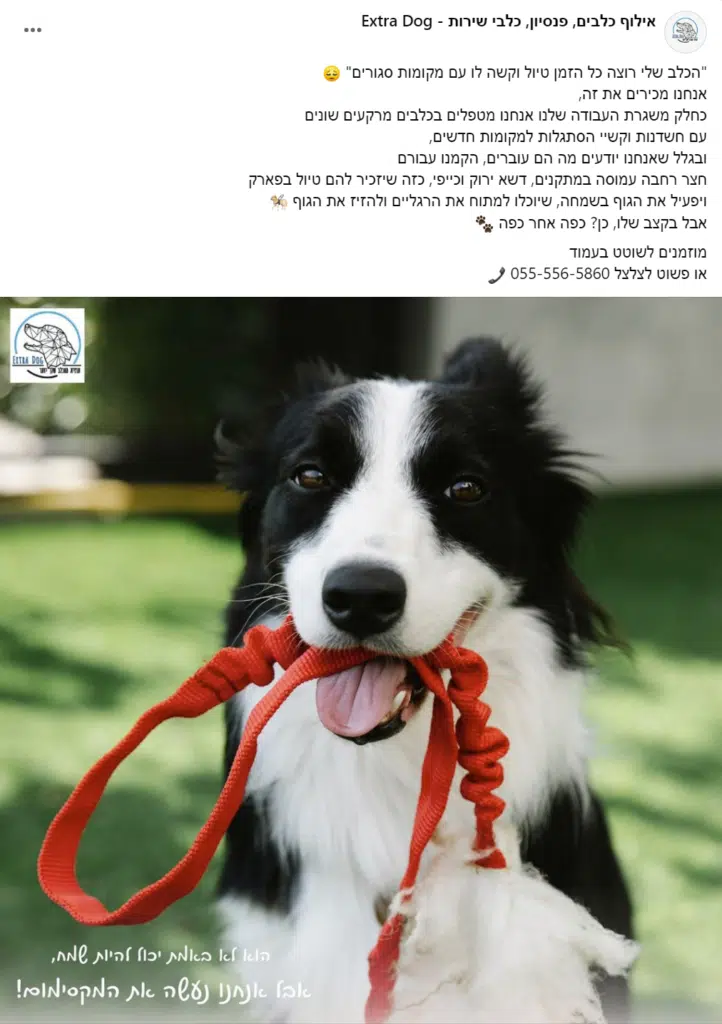 DOG 2